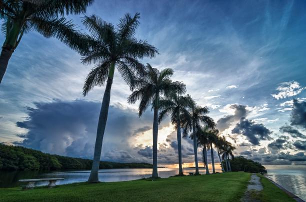 beach, Bridge, Cities, Florida, Marina, Miami, Monuments, Night 