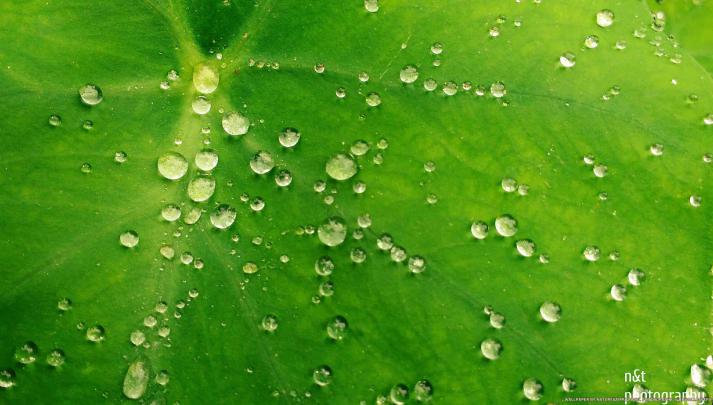 monsoon morning - HD Wallpapers