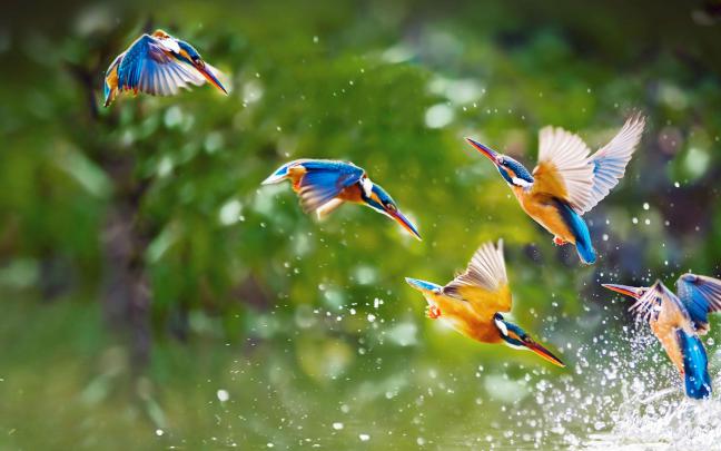 Monsoon Wallpapers HD