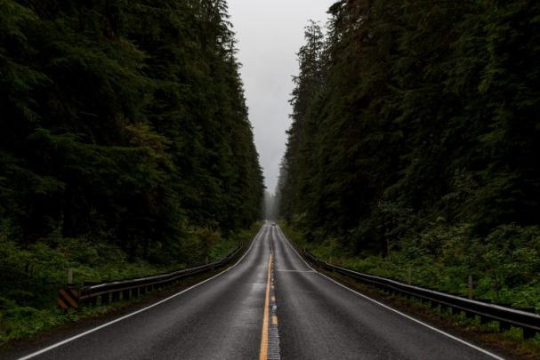 road, Forest, Monsoon Wallpapers HD \/ Desktop and Mobile Backgrounds