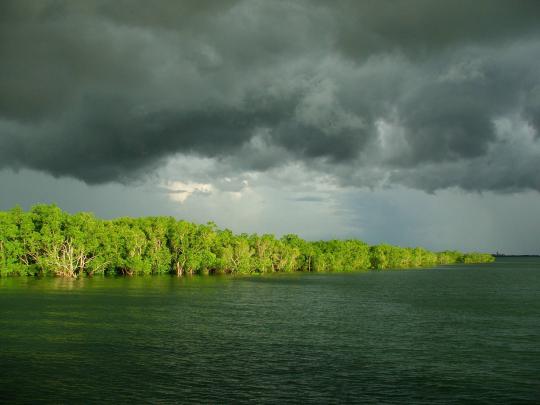 Monsoon Wallpapers