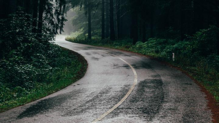 Rain in Jungle Road Nature View 4K Wallpaper | HD Wallpapers