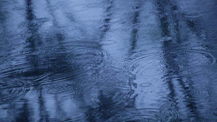 Beautiful Rain Drops Pics | HD Wallpapers