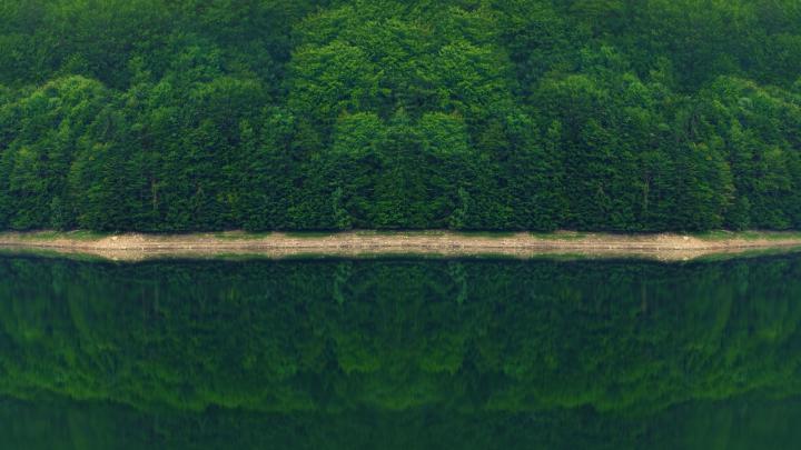 photography, Nature, Forest, Landscape, Trees, River, Reflection 