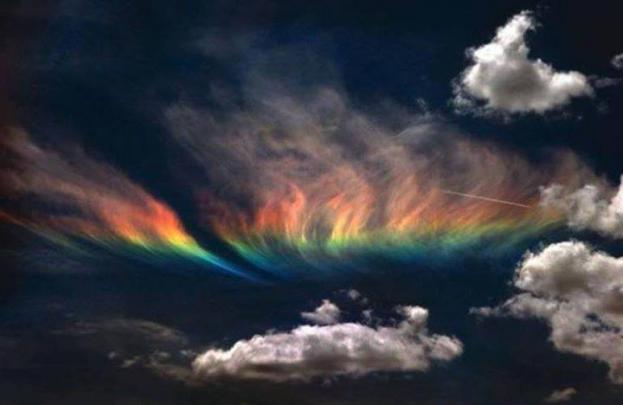 Zedge Wallpapers For Pc Free Download