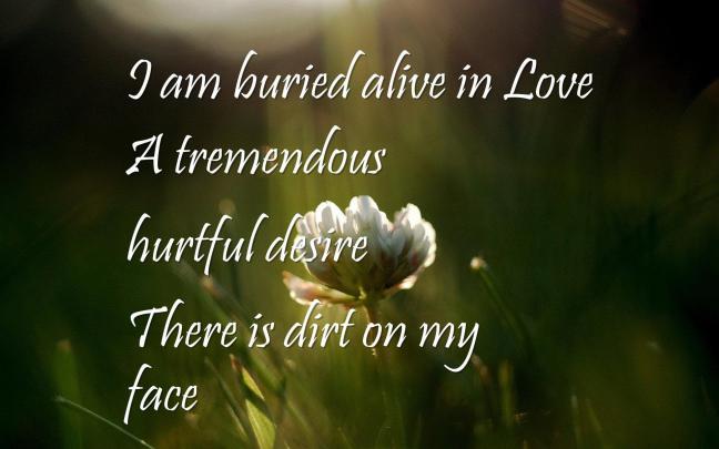 Love Quotes Wallpaper Hd 1080p Free Download - Forex Bot Download