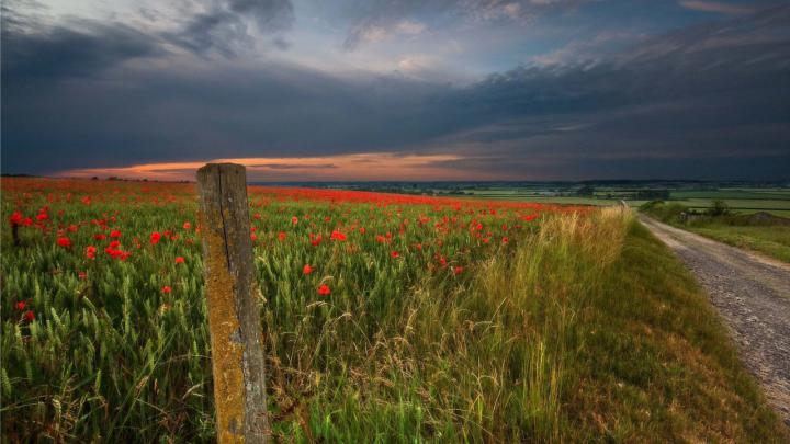 171 Nature Wallpaper Examples For Your Desktop Background