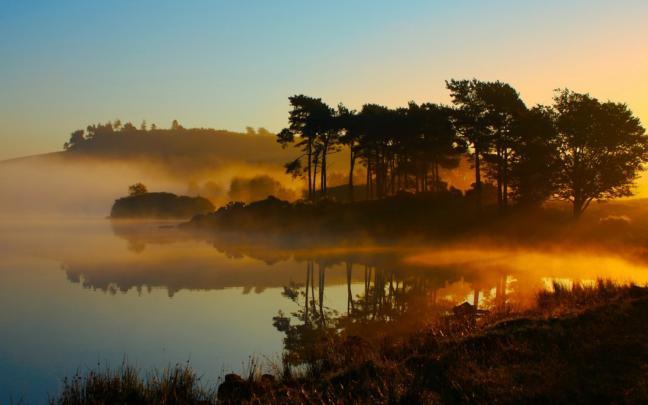 landscapes, Forest, Nature, Environment, Lakes, Sunrise, Fog 