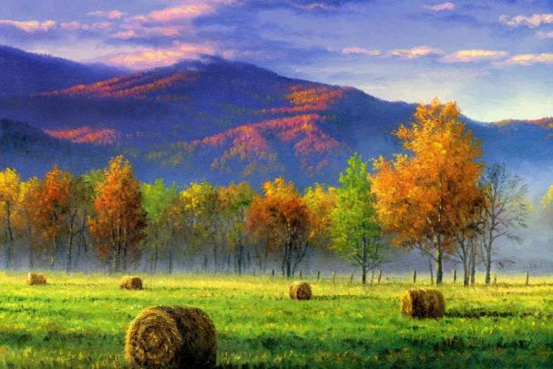 Nature Wallpapers 1366x768 \u00b7\u2460 