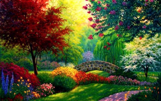 HD Nature Wallpapers - Top Free HD Nature Backgrounds - WallpaperAccess