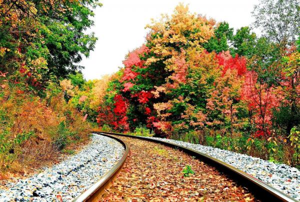 Fall Nature Desktop Wallpapers - Top Free Fall Nature Desktop 