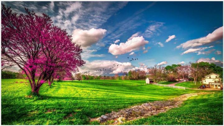 Spring Farm House Landscape Wallpaper | spring farm house landscape 