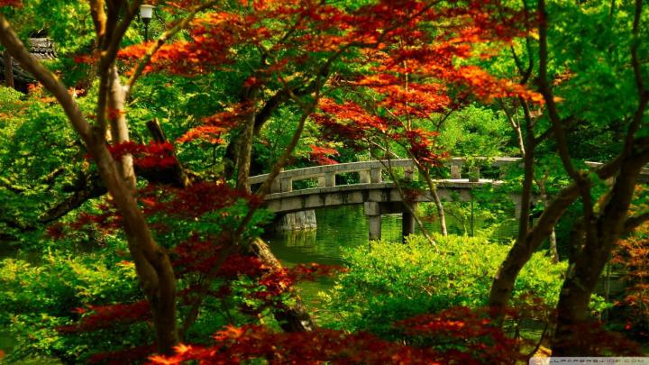 Japanese Tea Garden Wallpapers - Top Free Japanese Tea Garden 