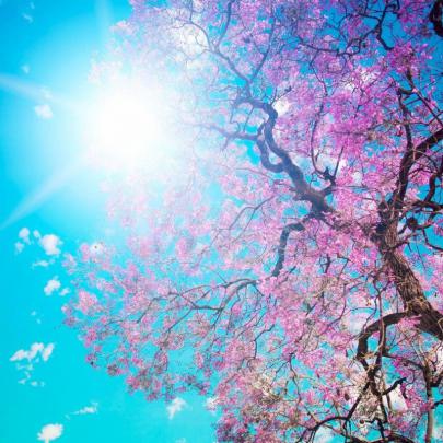 10 Latest Spring Backgrounds For Desktop FULL HD 1920\u00d71080 For PC 