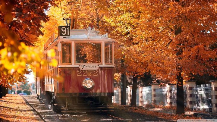 Autumn wallpaper HD \u00b7\u2460 Download free wallpapers for desktop, mobile 