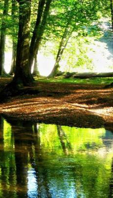 Wallpaper Hd 1080p Free Download For Mobile Nature | Download Ea 