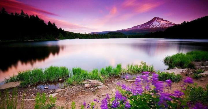Scenery Windows 10 Wallpaper Hd 1920x1080 Nature