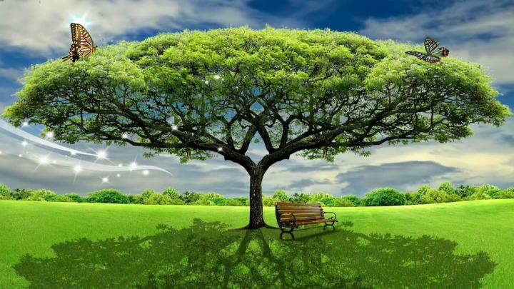 Natural 1080p Beautiful Images Hd