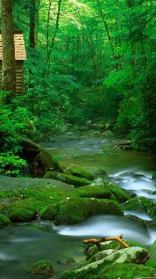 24+ Desktop Hd Wallpapers 1080p Nature - Basty Wallpaper