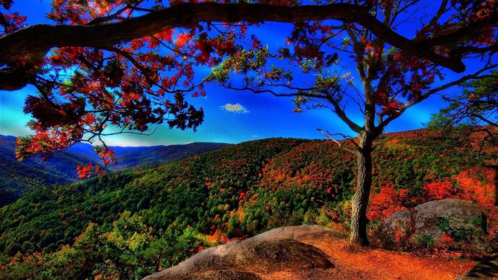 4K Nature PC Wallpapers - Top Free 4K Nature PC Backgrounds 