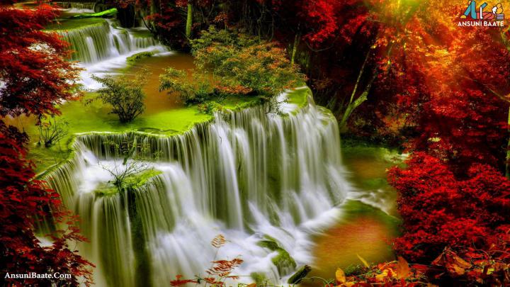 1920X1080 Full HD Nature Wallpapers - Top Free 1920X1080 Full HD Nature 