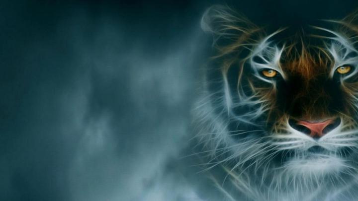 Cool Tiger Backgrounds \u00b7\u2460 