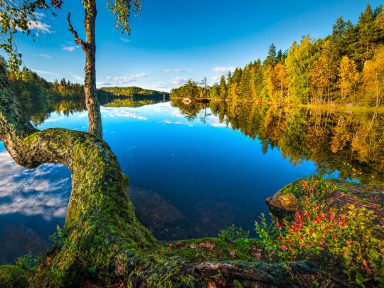 Hurum Buskerud Norway Lake Wood Forest Reflection In Water Wallpaper Hd 