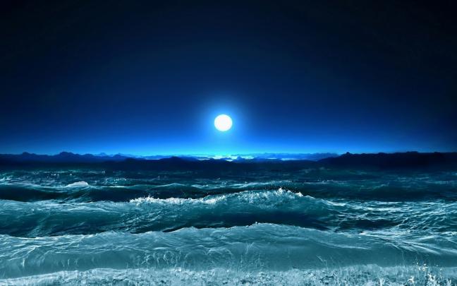 Free download fileswordpresscom200912silent ocean waves 219841jpg 