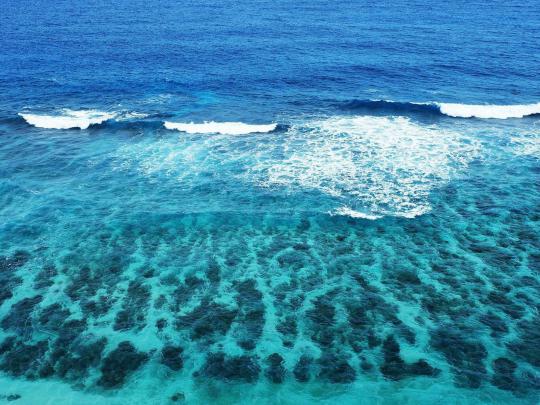 [49+] Live Ocean Waves Wallpapers 