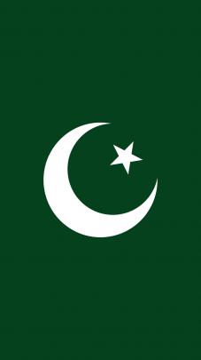Pakistan Flag Hd Wallpaper For Mobile - Pakistani Flag Painting 