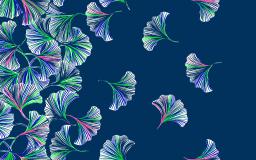 Lilly Desktop Wallpaper