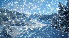 Live Snow Falling Wallpaper For Desktop