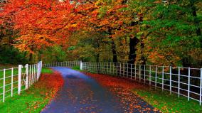 Nature Desktop Wallpaper 1080p