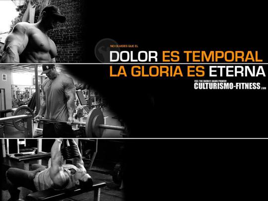 Gym Wallpaper HD -