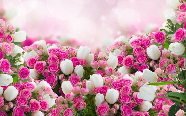 Flower Wallpaper (64+ images)