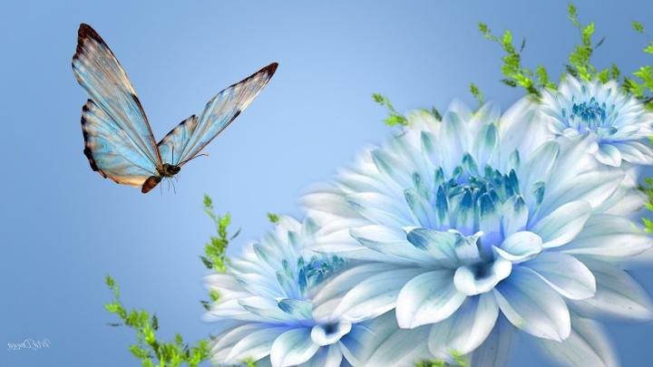 Beautiful Butterflies and Flowers Wallpapers (56+ images)