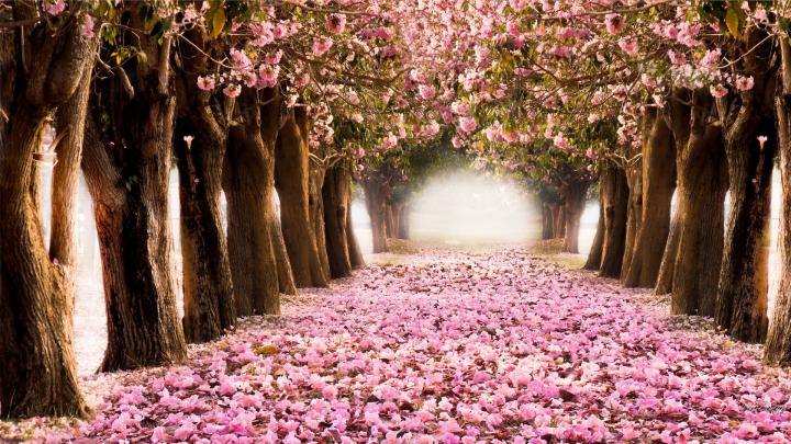 Spring Wallpaper And Screensavers HD (70+ images)
