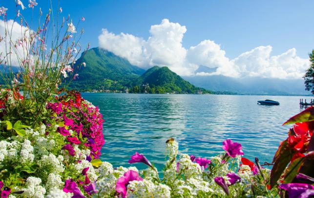 Awesome Nature Wallpapers (76+ images)