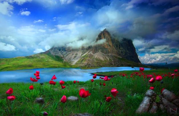 Free 1080p Desktop Images Wallpapers - Top Free Free 1080p Desktop 