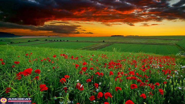 3D Nature Wallpaper \u00b7\u2460 