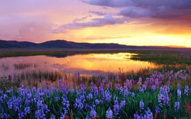 Landscape HD Wallpapers 1080p (81+ images)