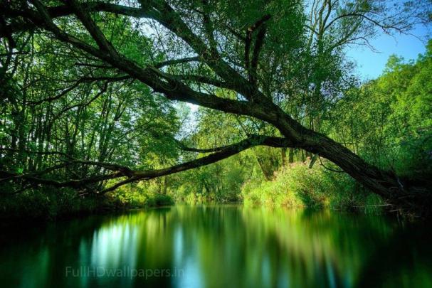 Nature HD Wallpapers 1080p \u00b7\u2460 