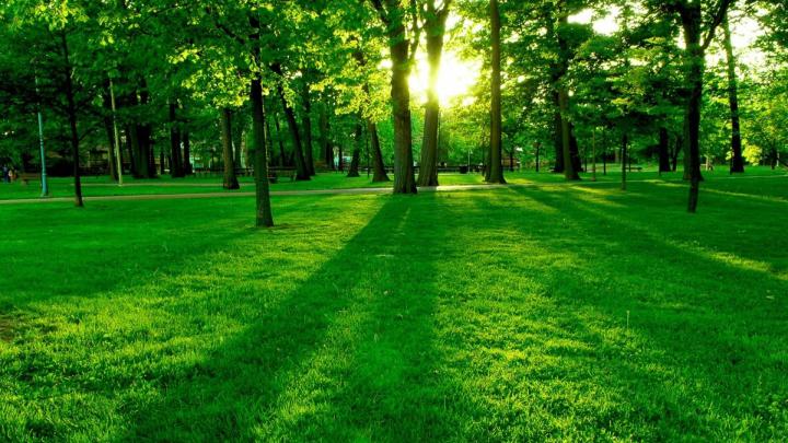 Computer Backgrounds Nature \u00b7\u2460 