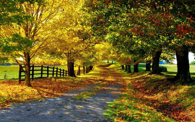 Wallpapers Nature Full Size Desktop 2018 (76+ background pictures)