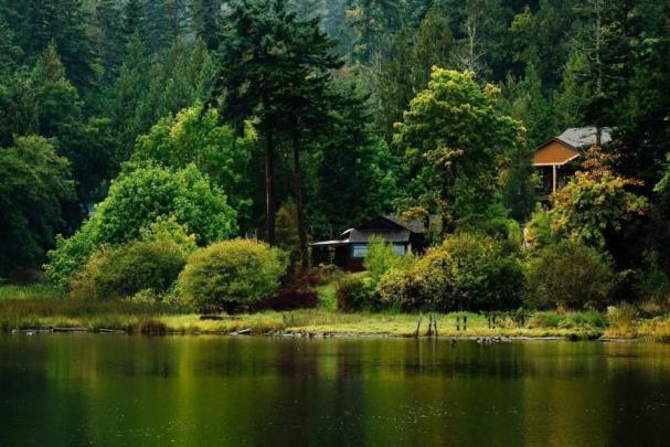 84+ Nature desktop backgrounds \u00b7\u2460 Download free stunning HD wallpapers 