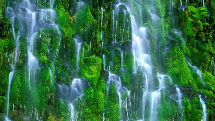 Nature Wallpaper for Desktop \u00b7\u2460 