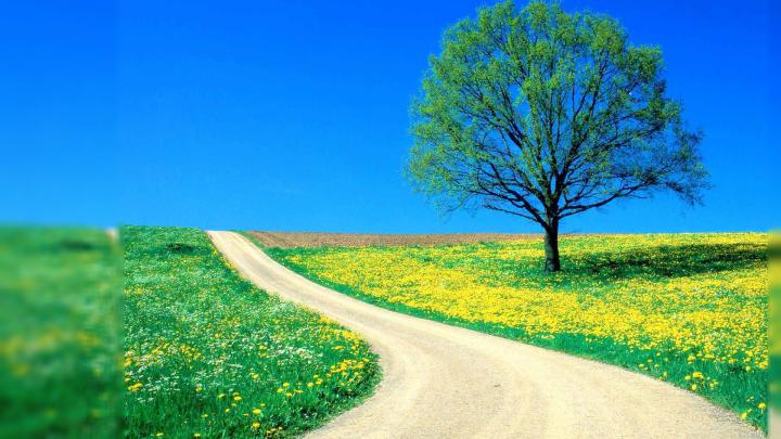 Natural Wallpapers for Desktop (58+ background pictures)