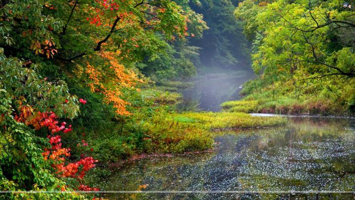 New Nature Wallpapers HD (71+ background pictures)