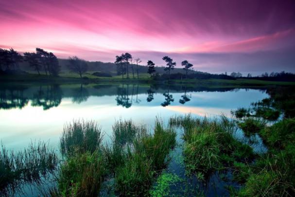 1920x1080 wallpaper nature \u00b7\u2460 Download free beautiful HD backgrounds 