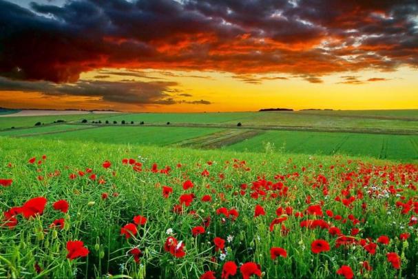 Nature Wallpapers 1366x768 \u00b7\u2460 